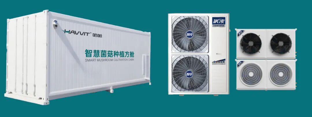 韌性生長 奠基未來 | 哈唯2025的確定性回答